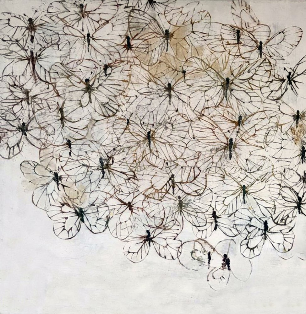 greta penacca: Geometria Precaria